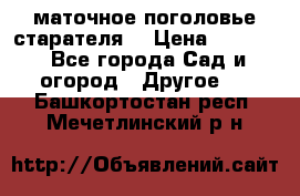 маточное поголовье старателя  › Цена ­ 3 700 - Все города Сад и огород » Другое   . Башкортостан респ.,Мечетлинский р-н